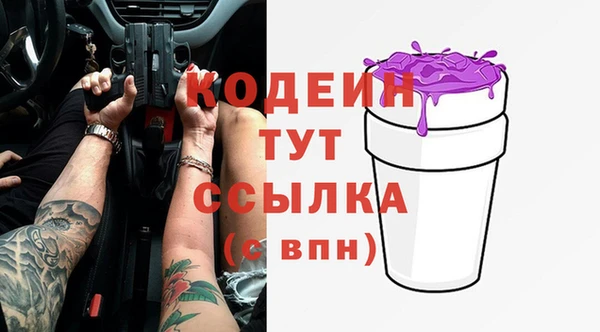 гашик Мегион
