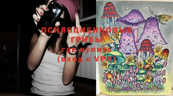 дживик Михайловск